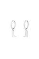 couleur argent Image2