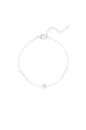 couleur argent Image2
