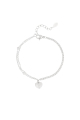 couleur argent Image2