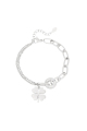 couleur argent Image2