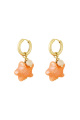 orange Image3