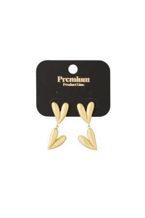 Boucles D'oreilles Double Cœur h5 Image3