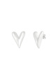 couleur argent Image2
