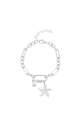 couleur argent Image2