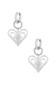 couleur argent Image2