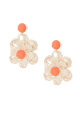 orange Image2