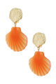orange Image3