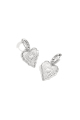 couleur argent Image2