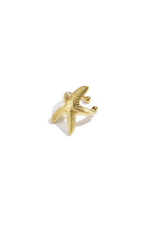 Boucle D'Oreille En Forme D'Étoile De Mer h5