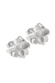 couleur argent Image2
