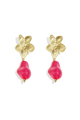 Rose rouge Image5