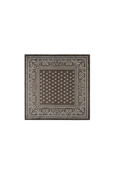 Écharpes d'été à motif cachemire, en polyester décontracté, accessoires du quotidien 2