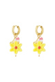 Jaune Image2