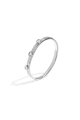 couleur argent Image2