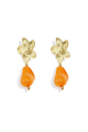 Orange Image4