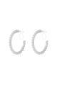couleur argent Image2