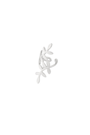 Plante Pour Manchette D'Oreille h5 Image3
