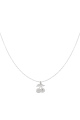 couleur argent Image2