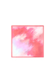 Rose rouge 