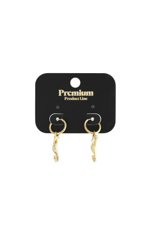 Boucles D'Oreilles Pendantes Tortue Casual Daily Simple Series Bijoux Pour Femmes h5 Image3