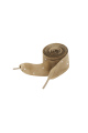 Cannelle Image2