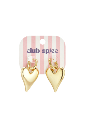 Boucles D'Oreilles Pendantes En Acier Inoxydable En Forme De Cœur, Collection Décontractée Et Simple Pour Femmes h5 Image4