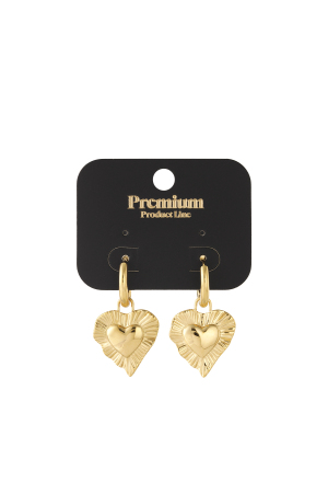Boucles D'Oreilles Coeur Rayonnant h5 Image4