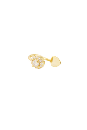 Manchette De Nez Et D'Oreille Scintillante h5 
