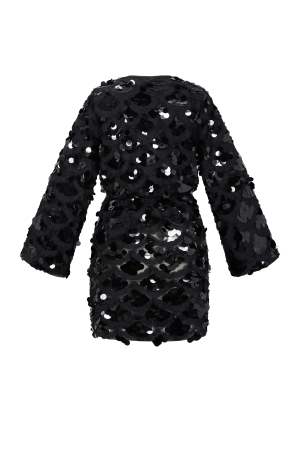 Tissu En Fibre De Polyester Femme Robe Mini Élégante Paillettes h5 Image3