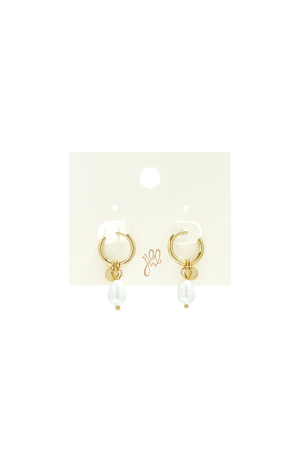 Boucles D'oreilles Pearl Drops Argenté Acier Inoxydable h5 Image4
