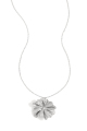 couleur argent Image2