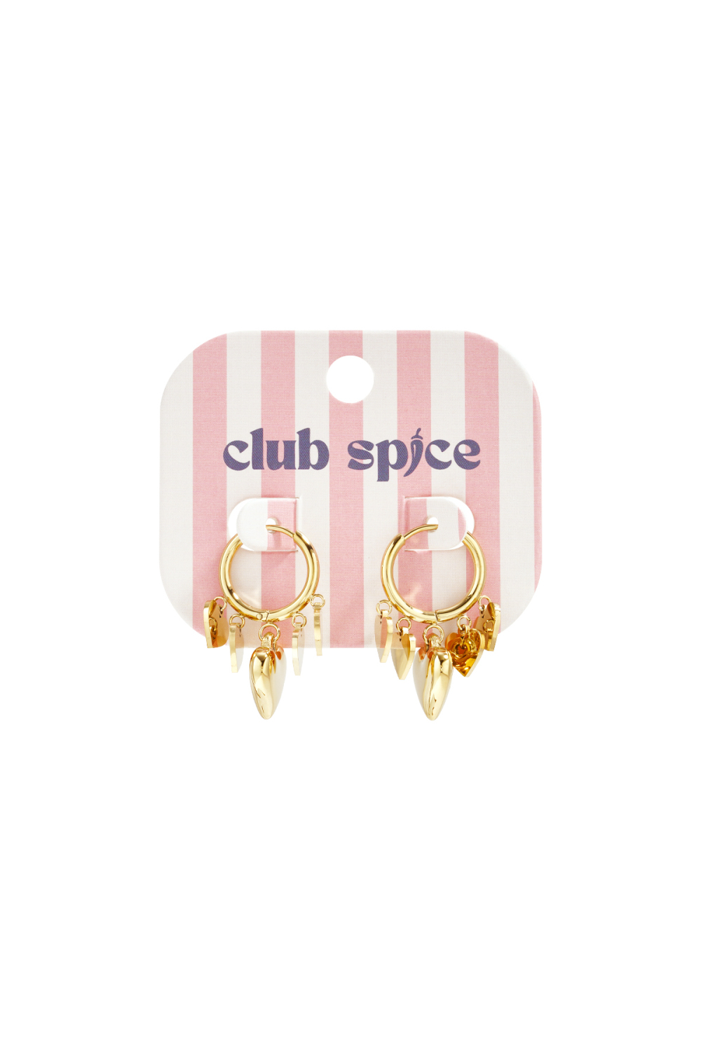 Boucles D'Oreilles Avec Des Pendentifs En Forme De Cœur De Différentes Tailles Image4