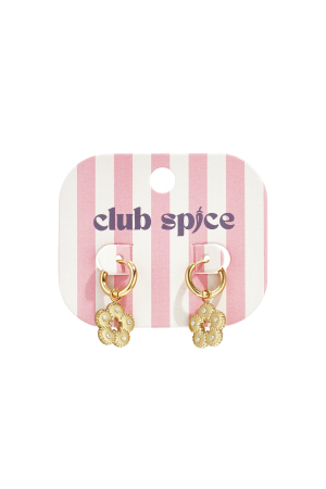 Boucles D'Oreilles Ornées De Pierres En Forme De Fleur h5 Image4