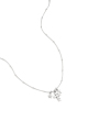 couleur argent Image2