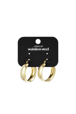 Boucles D'Oreilles Créoles En Acier Inoxydable, Style Décontracté Et Simple, Collection Femme h5 Image6
