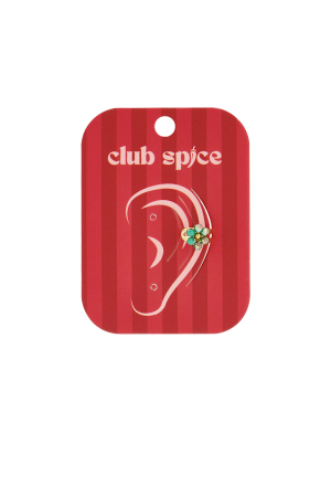 Boucles D'Oreilles En Acier Inoxydable Pour Femme, Style Décontracté Et Simple, Série Fleur h5 Image4