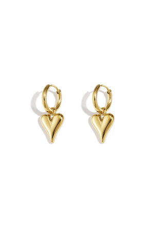 Boucles D'oreilles En Forme De Coeur En Acier Inoxydable h5 