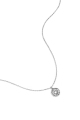 couleur argent Image2