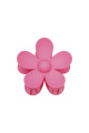 fuchsia Image6
