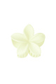 Crème Image6