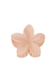 Rose bébé Image3