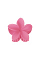 fuchsia Image11