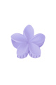 Violet Image9