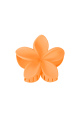 orange Image12