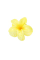 Jaune Image6