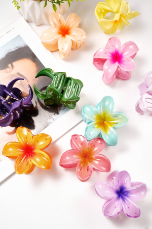 Barrette À Cheveux Fleur Dégradé Hawaii Love h5 Image3