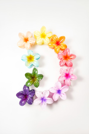 Barrette À Cheveux Fleur Dégradé Hawaii Love h5 Image5