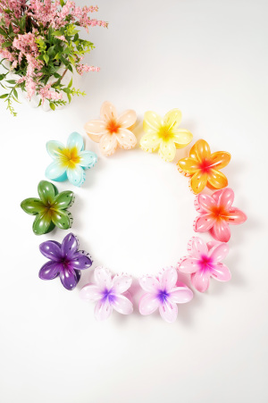 Barrette À Cheveux Fleur Dégradé Hawaii Love h5 Image6