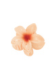 Orange clair Image4