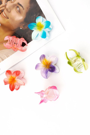 Barrette À Cheveux Rêve Hawaïen h5 Image3